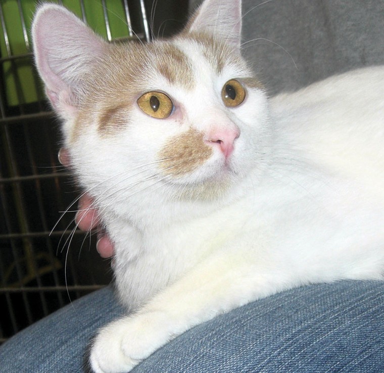 Someone to love: Twinkle